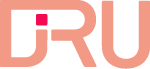 DiRu Logo Rosa Entrümpeln, Haushaltsauflösung, Wohnungsauflösung